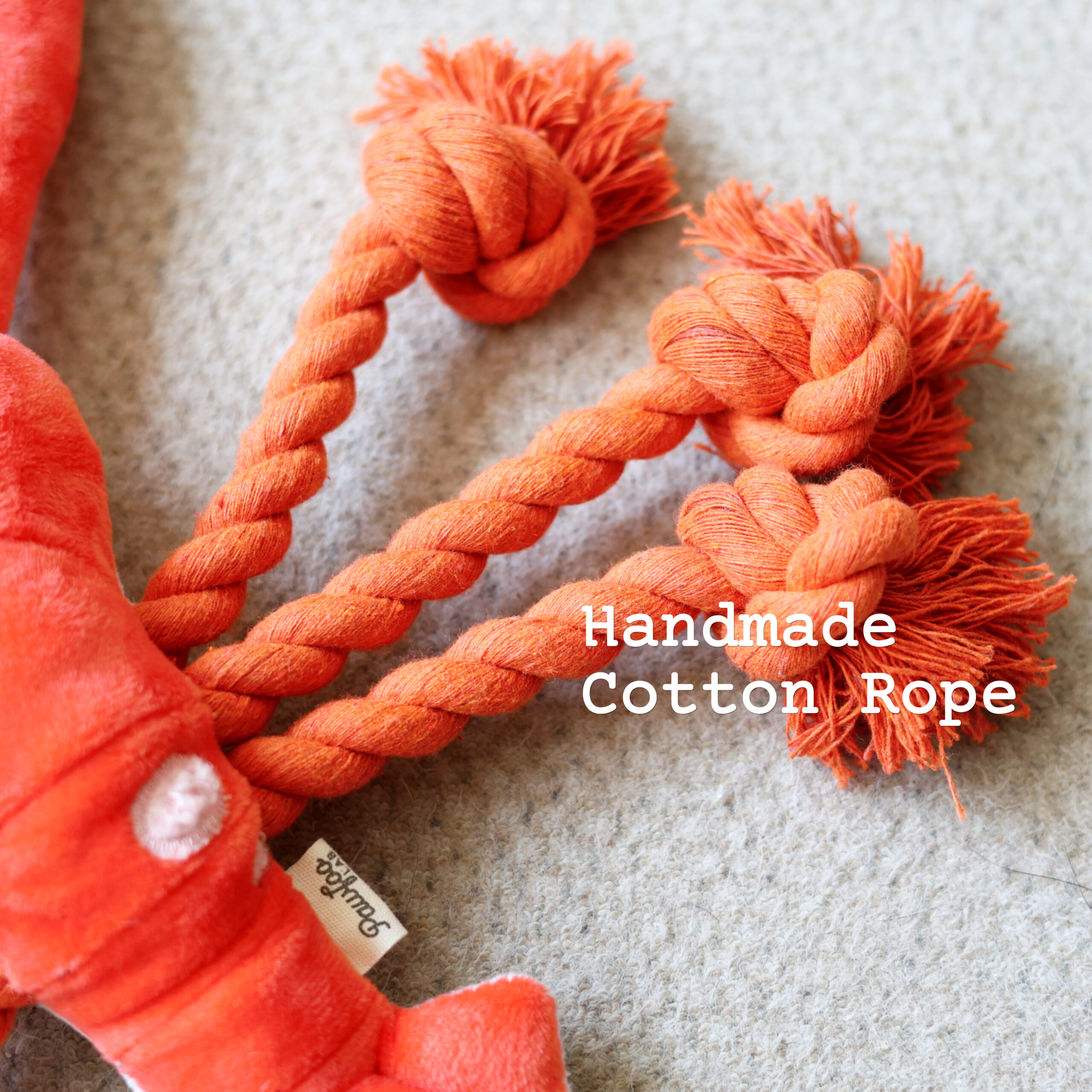 lobster dog toy