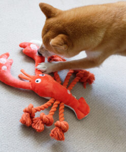 lobster dog toy