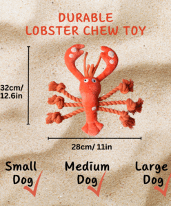 size of lobster dog toy