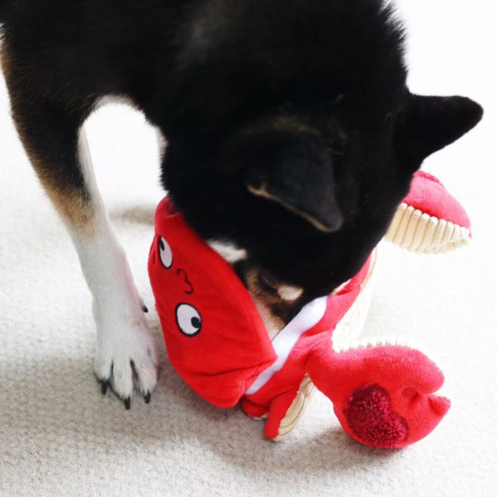 Puzzle Toys