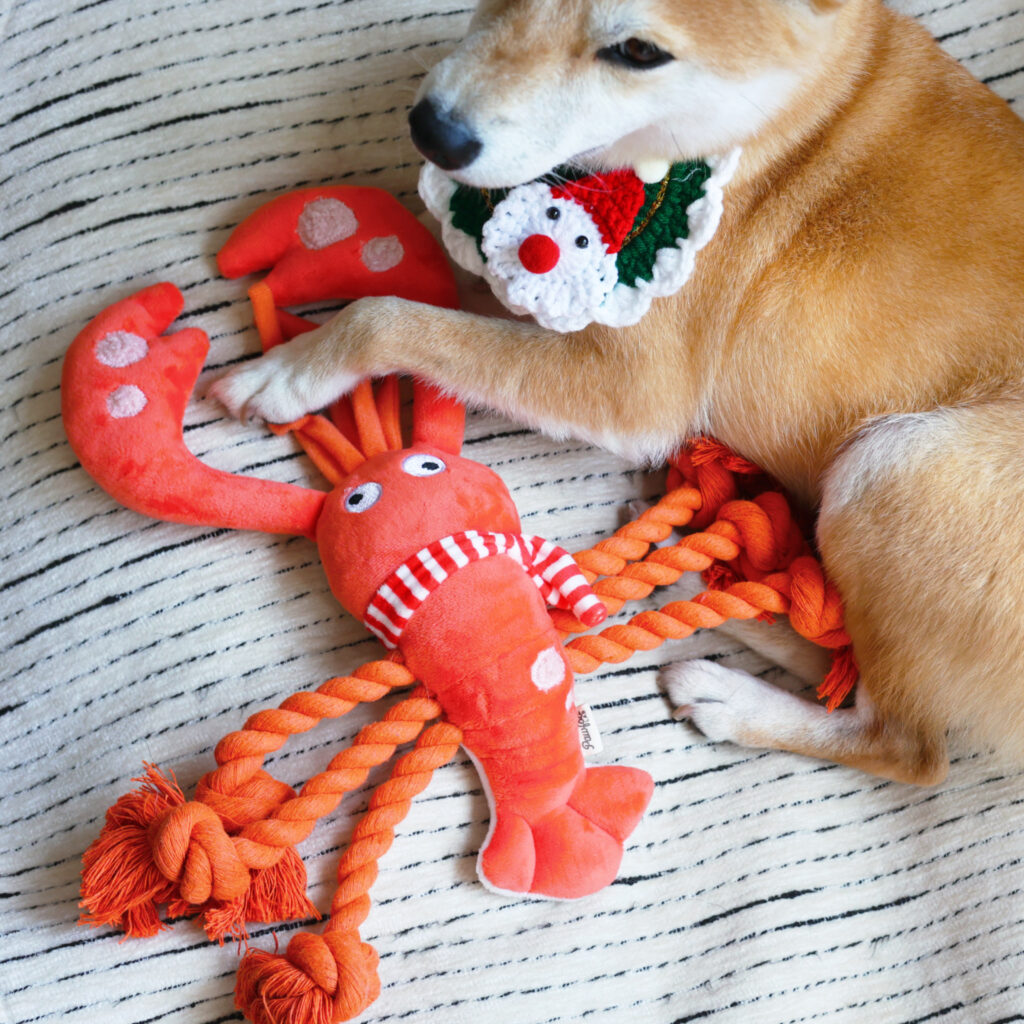 Chew Toys